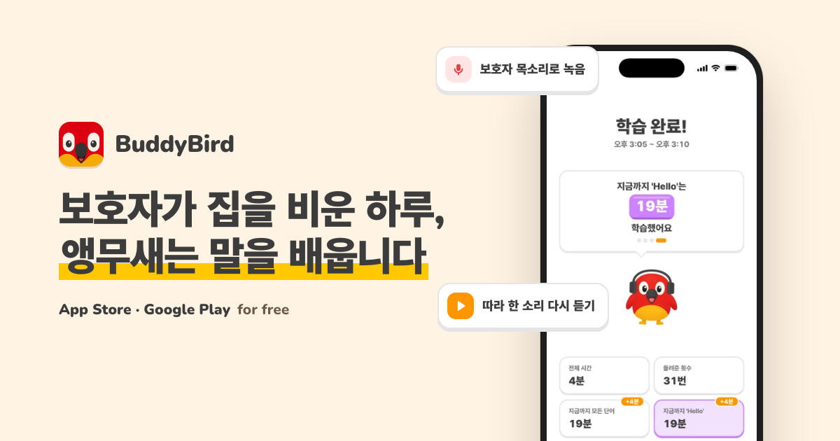 버디버드 (부재중 앵무새 케어 앱)